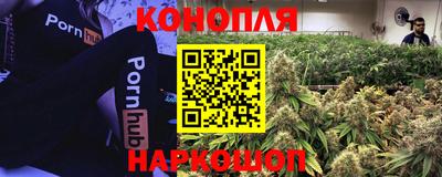 МДПВ Можайск