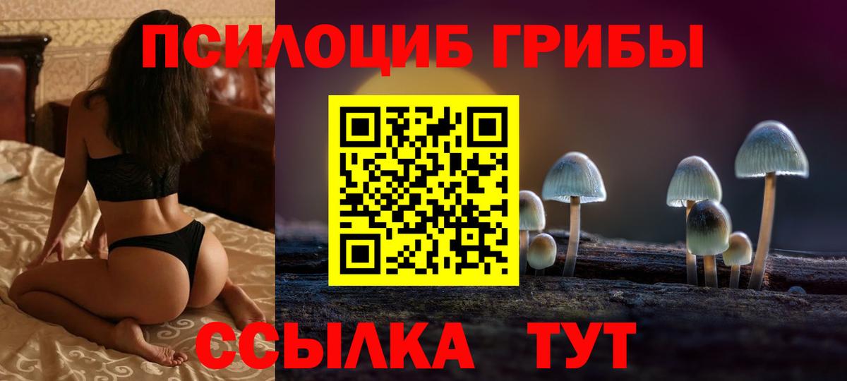 Псилоцибиновые грибы прущие грибы Сегежа