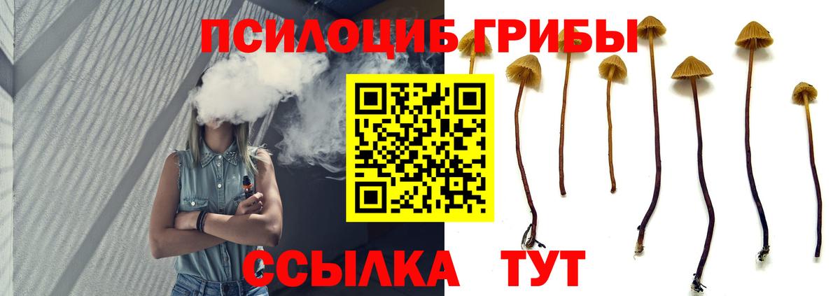 Сегежа  Галлюциногенные грибы мицелий  Псилоцибиновые грибы прущие грибы  Вход с VPN 